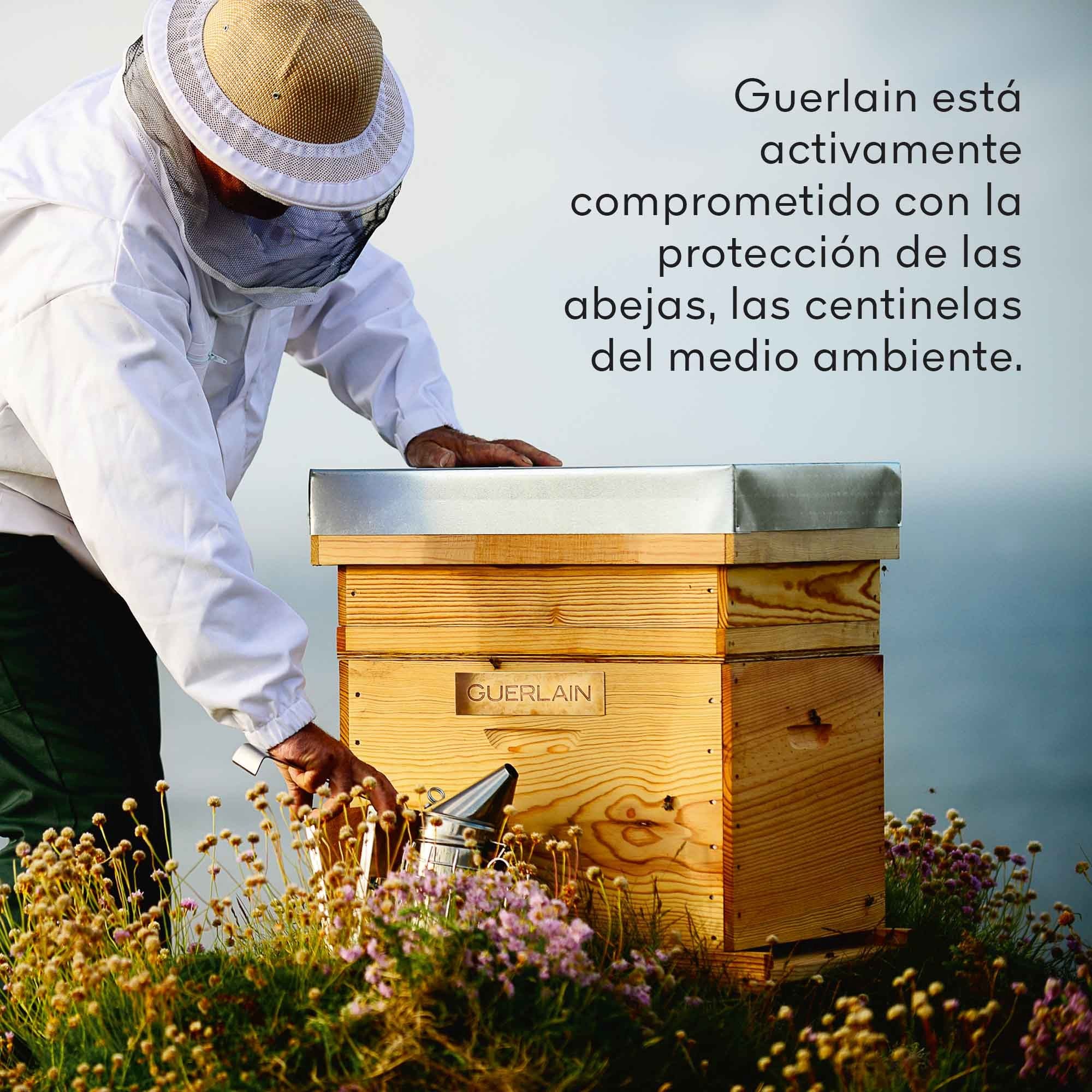 Imagen del producto 7