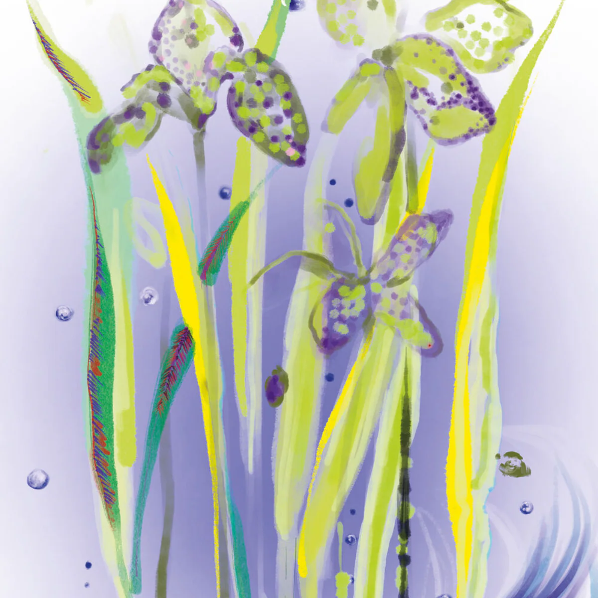 Imagen del producto 8
