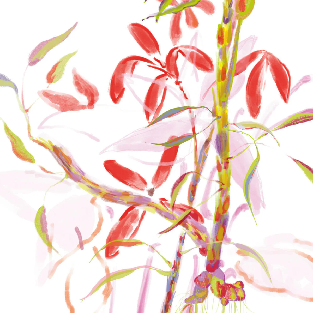 Imagen del producto 8