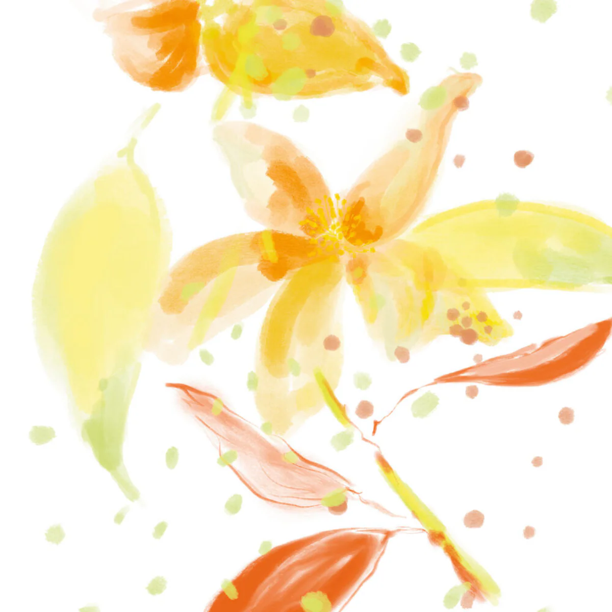Imagen del producto 8